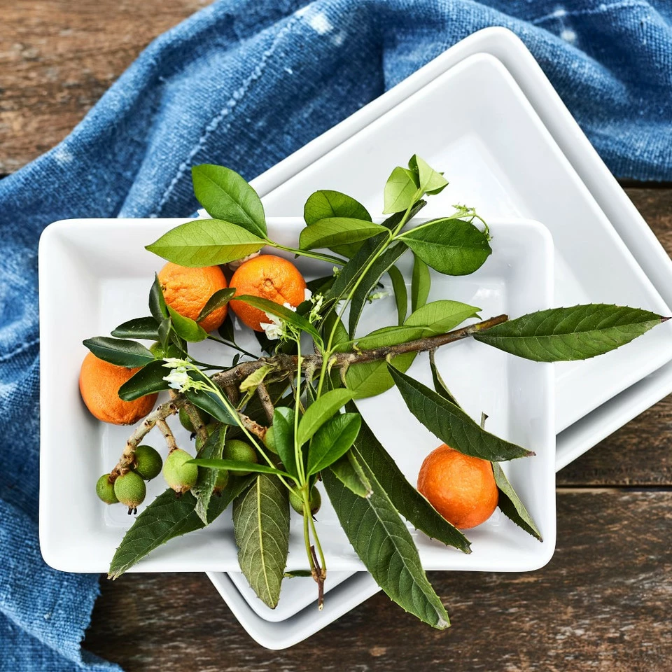 Williams Sonoma Open Kitchen Oven to Table Rectangular Baker 8 Williams Sonoma Open Kitchen Oven to Table Rectangular Baker - Image 8